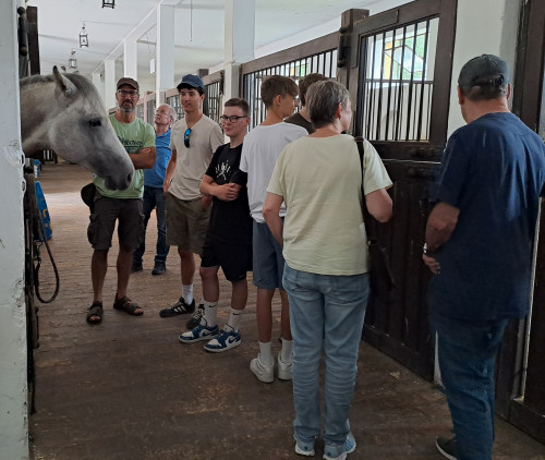 Gruppe im Stall Gruppe im Stall